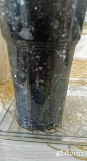 Замиокулькас