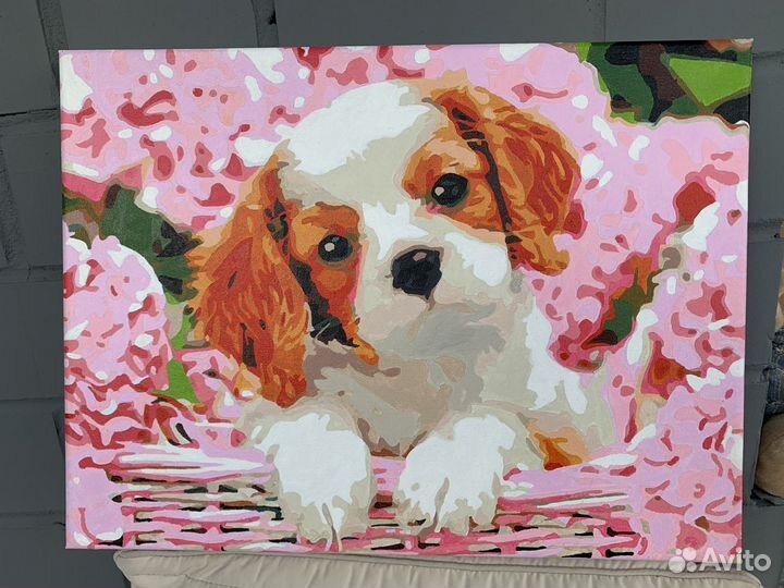 Картина кавалер спаниель