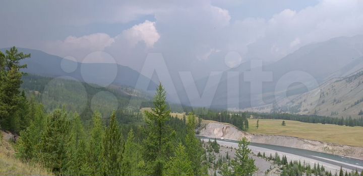 Участок 100 сот. (СНТ, ДНП)