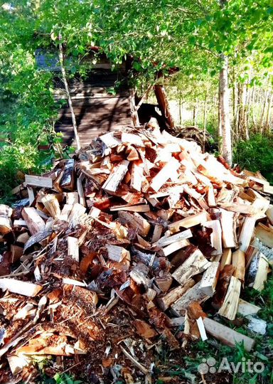 Дрова Осина навалом