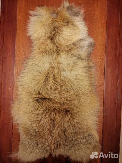 Шкурка животного
