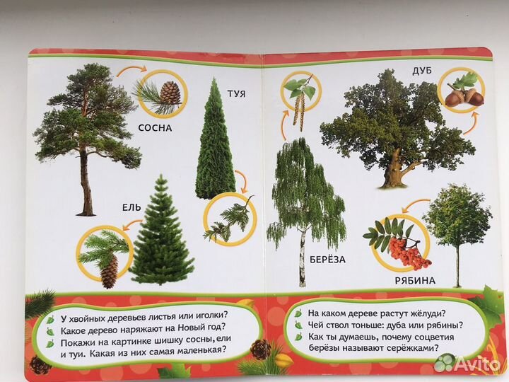 Мир растений. Развивающая книжка для малышей