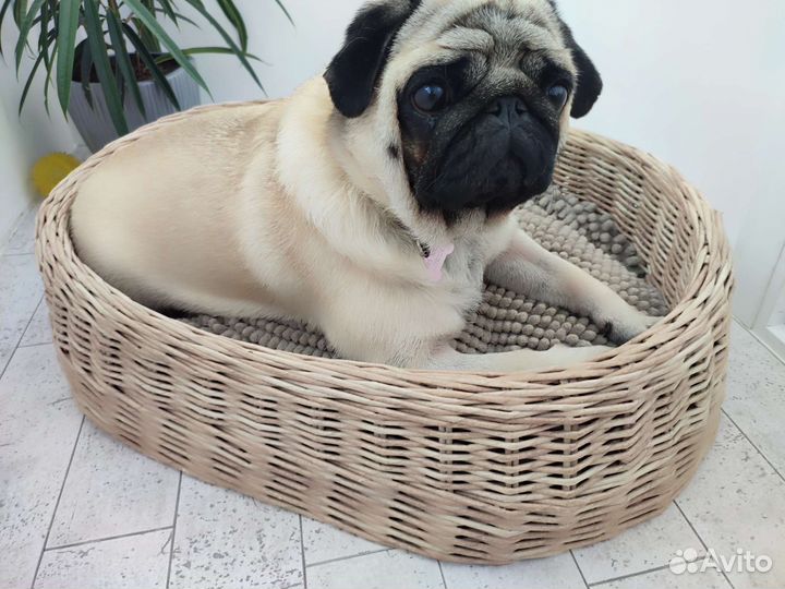 Лежанка для собаки, кошки. Плетёная