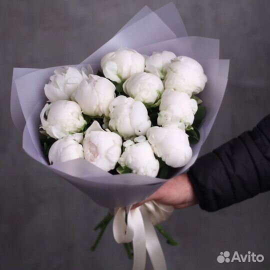 Пионы белые