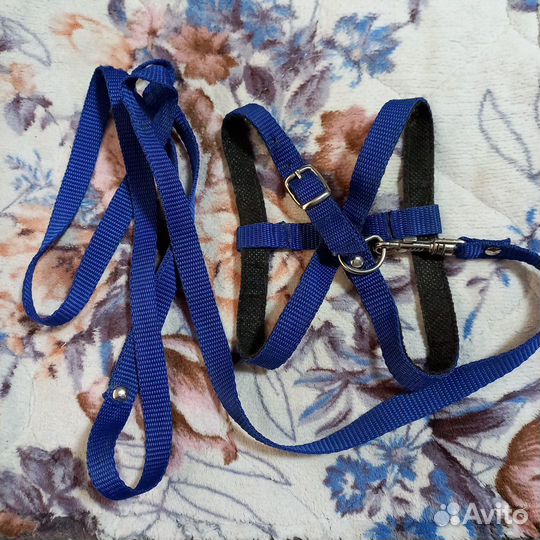 Шлейка для животных