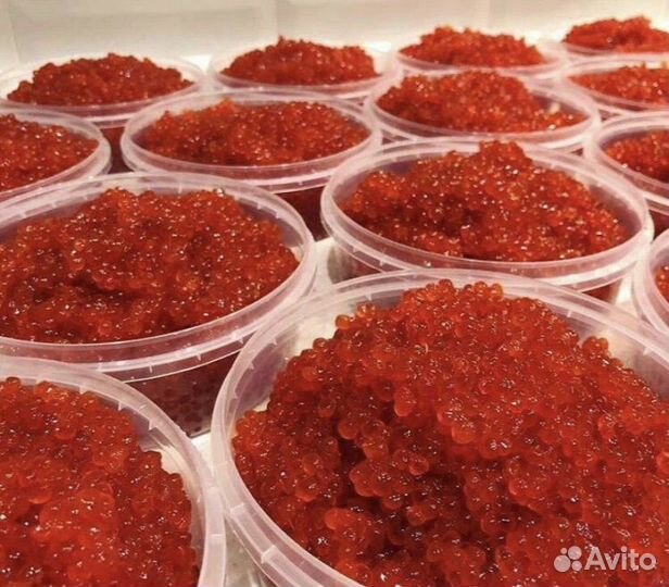 Красная икра Кижуч