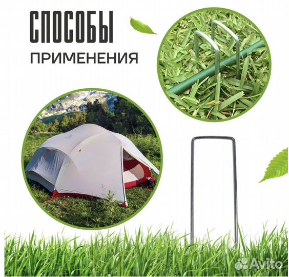 Растения для сада