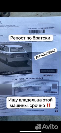 Ищу владельца срочно