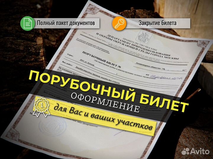 Спил и кронирование деревьев, расчистка участков