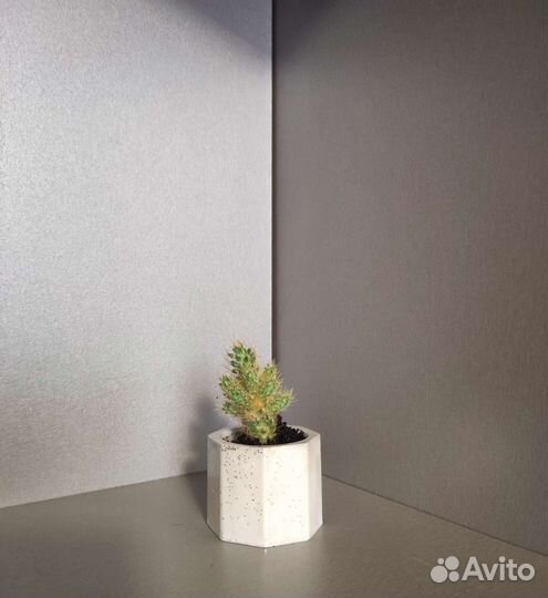 Интерьерные изделия из гипса с кактусом кашпо