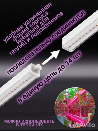 Фитолампа для растений