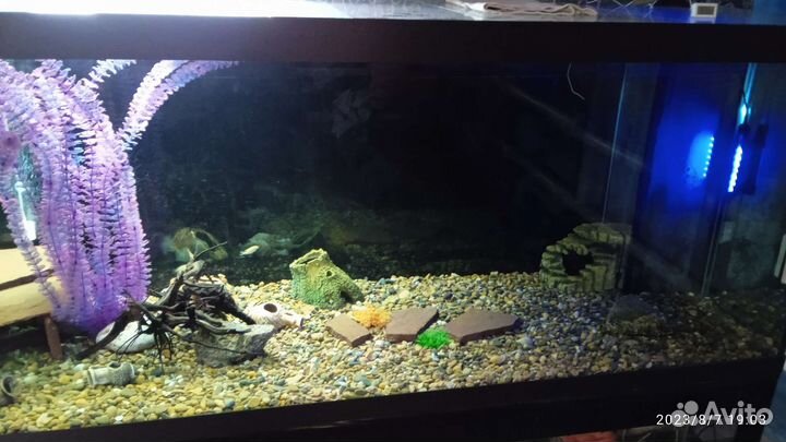 Аквариум 1120