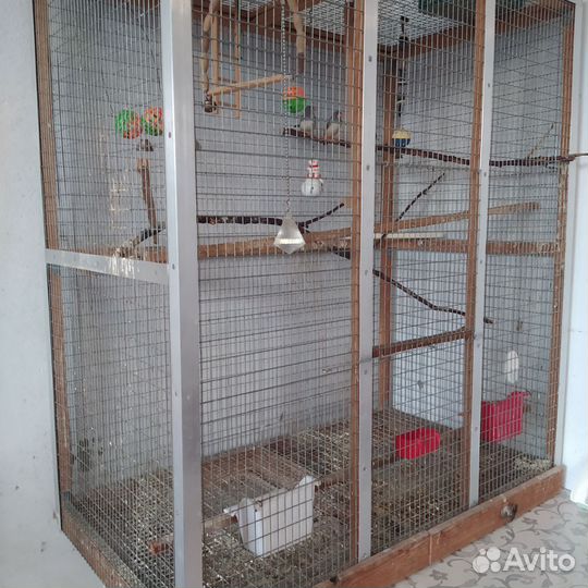 Большая клетка для птиц