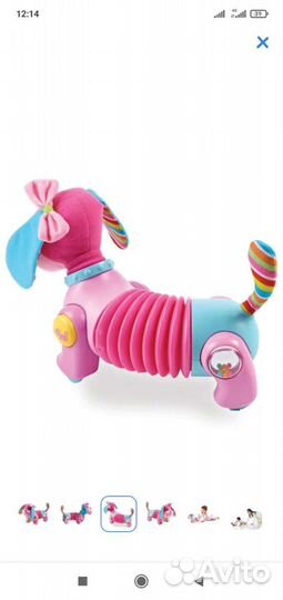 Сабака фиона