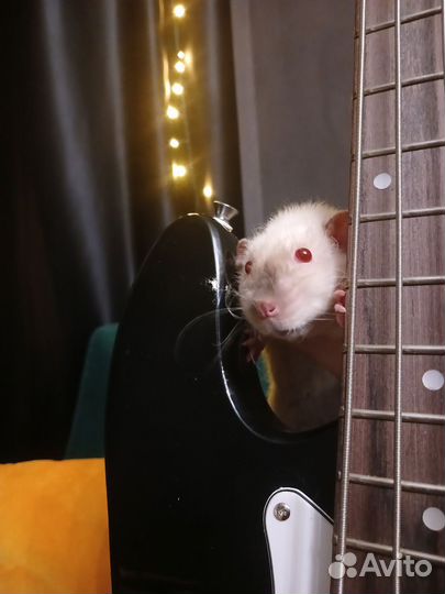 Бас гитара 4 струны