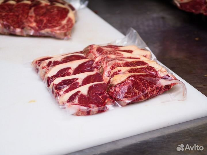 Ищу займ в производство говядины