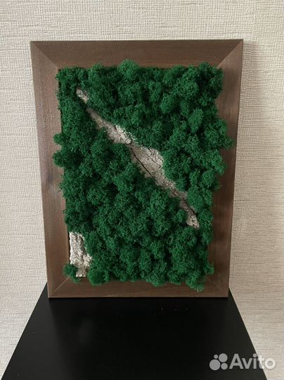 Картина из стабилизированного мха