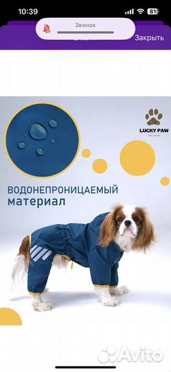 Дождевик для собаки среднего размера