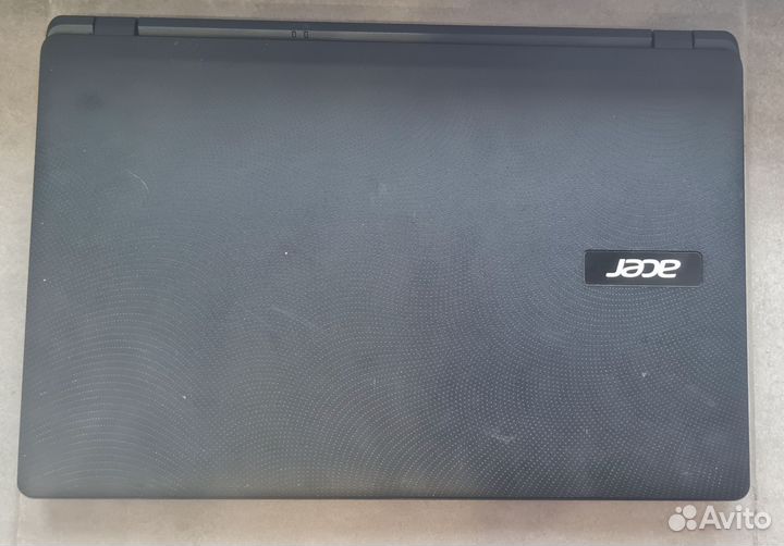 Acer extensa 2519