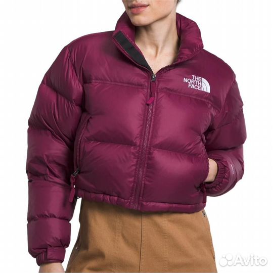 THE north face Nuptse Jacket Women's Plum (S)(44)