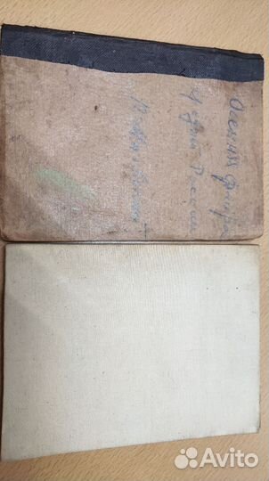 Весенняя и осенняя флора средней россии