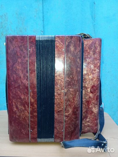 Баян Тула 202