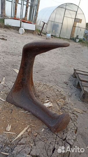 Лапа сапожная