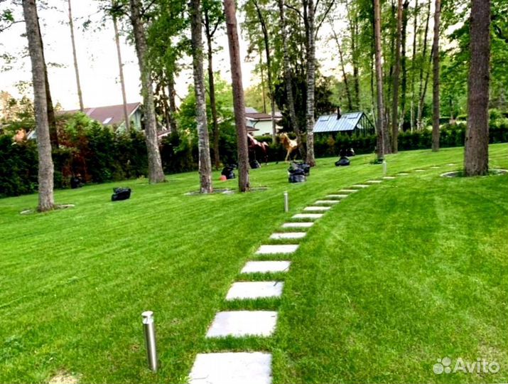 Рулонный газон 
