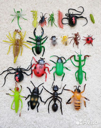 Коллекция насекомых