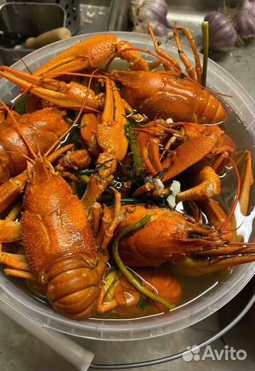 Раки в Москве и мо