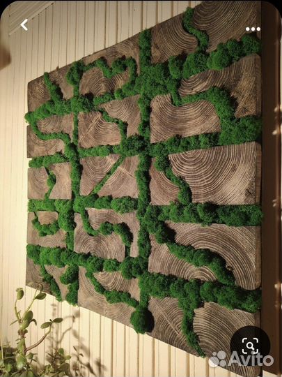 Панно из мха, Фитостена из мха