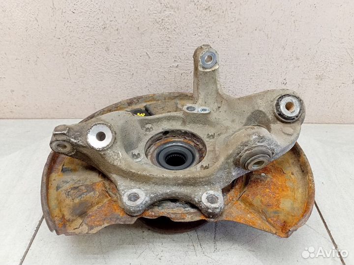 Кулак задний левый