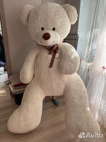 Большие плюшевые медведи