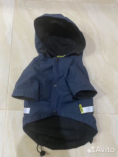 Ветровка для собак