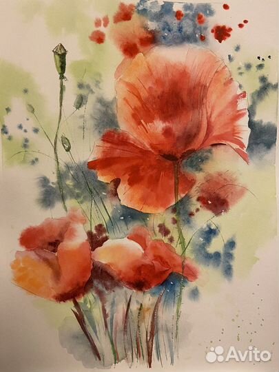 Картины акварелью серия Маки