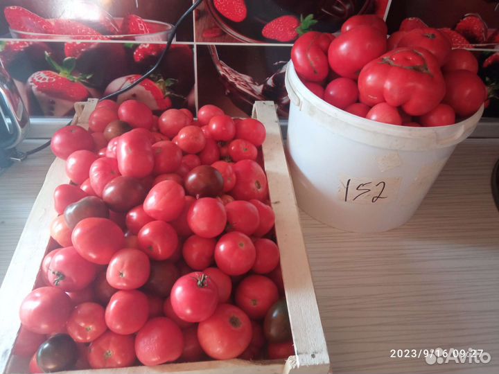 Продам помидоры