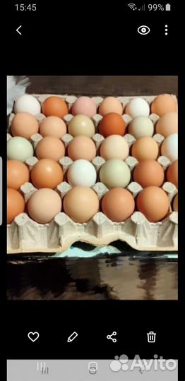 Куриные яйца