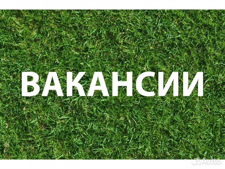 Фасовщик на склад