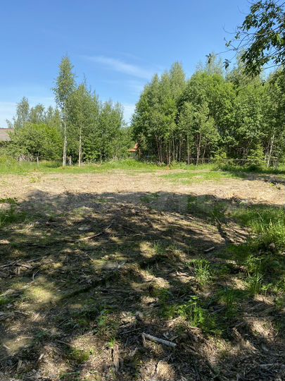 Участок 11,3 сот. (СНТ, ДНП)