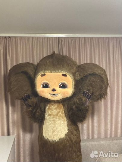 Экспресс-поздравление Чебурашка, ростовые куклы