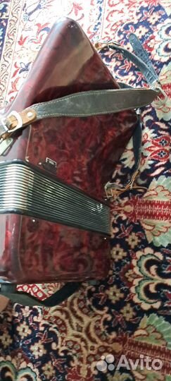 Аккордеон Premier