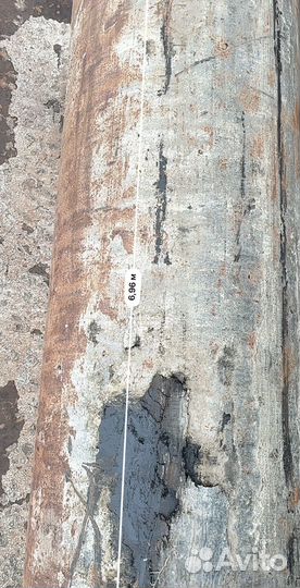 Кормушки для бычков