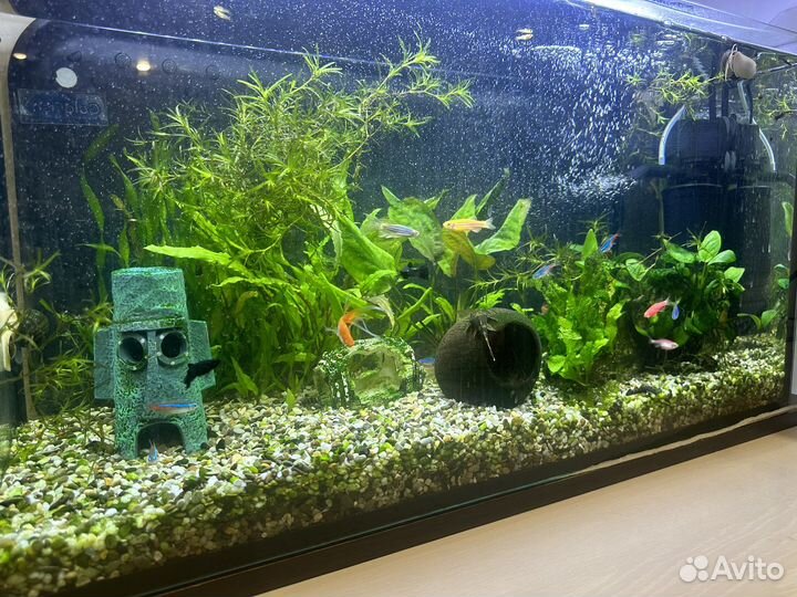 Аквариум с рыбками 70л