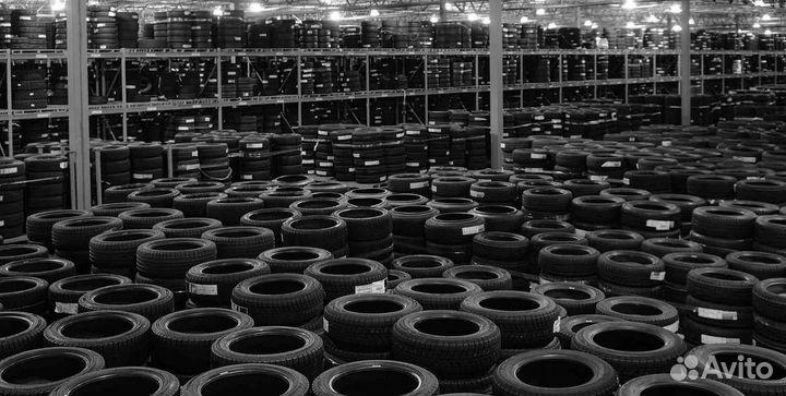 Nokian Tyres Nordman 5 175/65 R14 86T