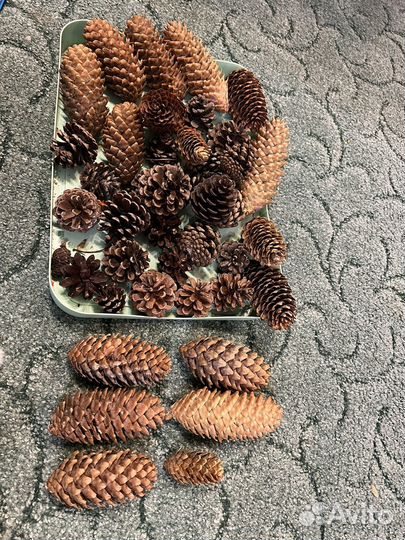 Шишки для поделок