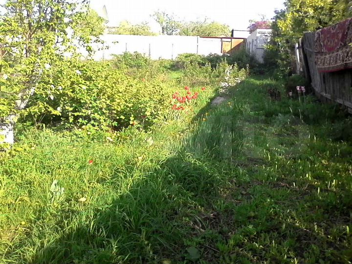 Дача 56 м² на участке 9 сот.