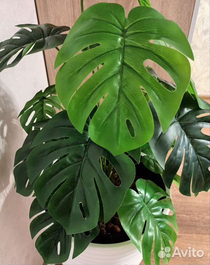 Монстера#искусственное растение новое