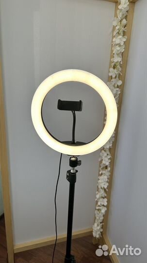 Кольцевая лампа 26 см