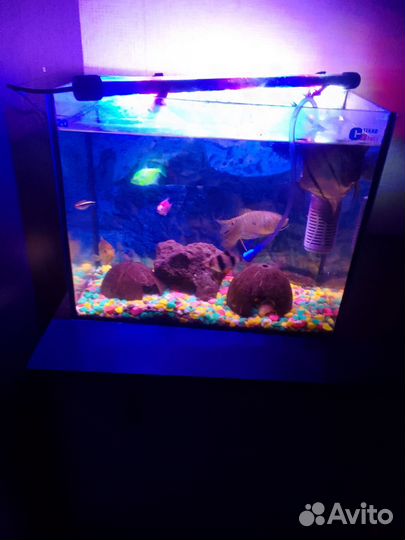 Украшения для аквариума