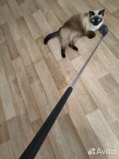 Клюшка для гольфа №4Tour Select